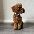 Cargar la imagen en la vista de la galería, COLLAR VICHY VAQUERO