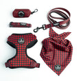 Cargar la imagen en la vista de la galería, PACK COMPLETO CACHIRULO