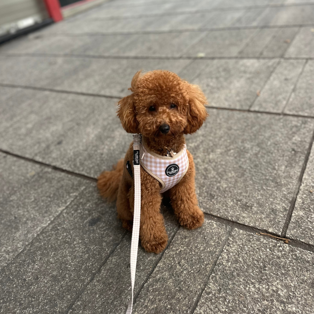 PACK COMPLETO VICHY BEIGE