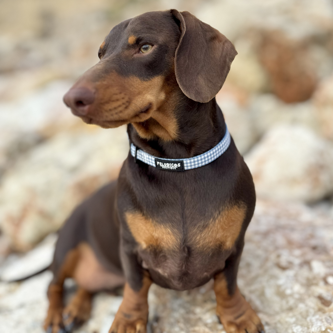 COLLAR VICHY VAQUERO