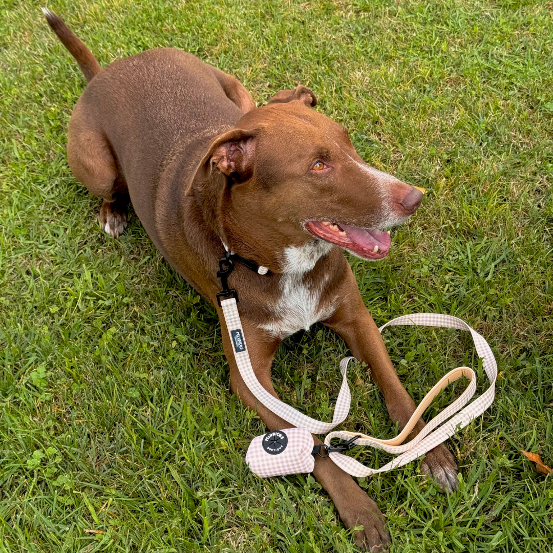 PORTA BOLSAS VICHY BEIGE