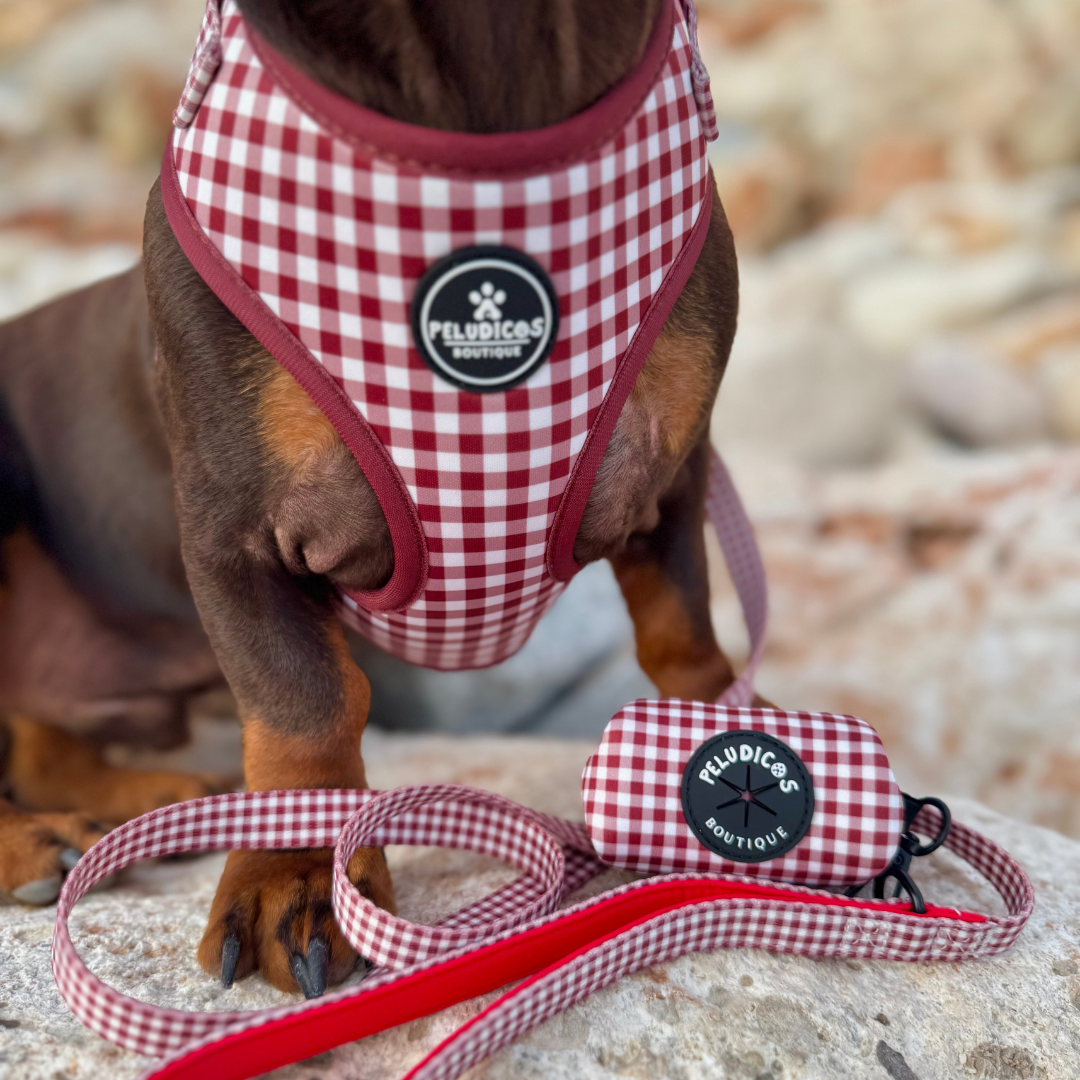 PORTA BOLSAS VICHY GRANATE