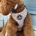 Cargar la imagen en la vista de la galería, COLLAR VICHY MOCCA
