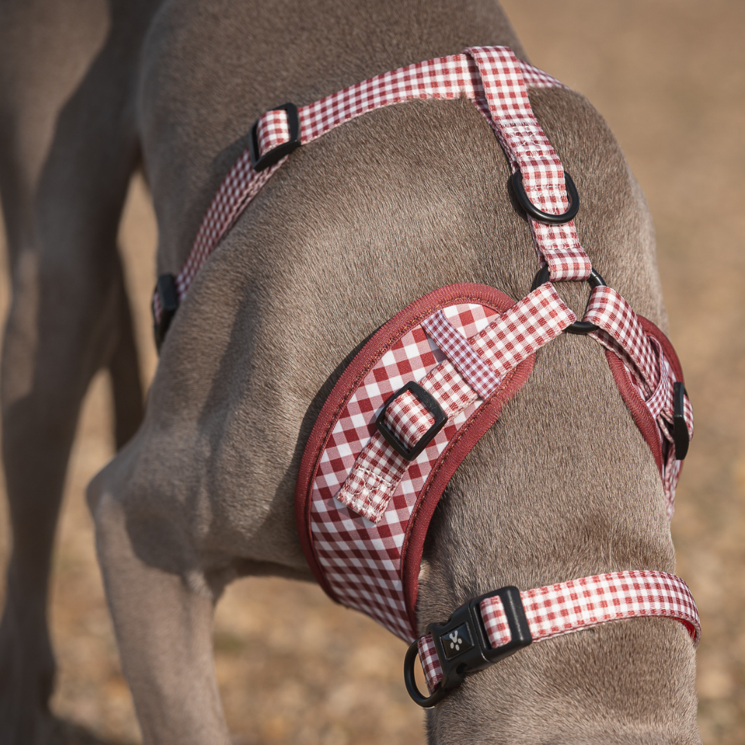 COLLAR VICHY GRANATE