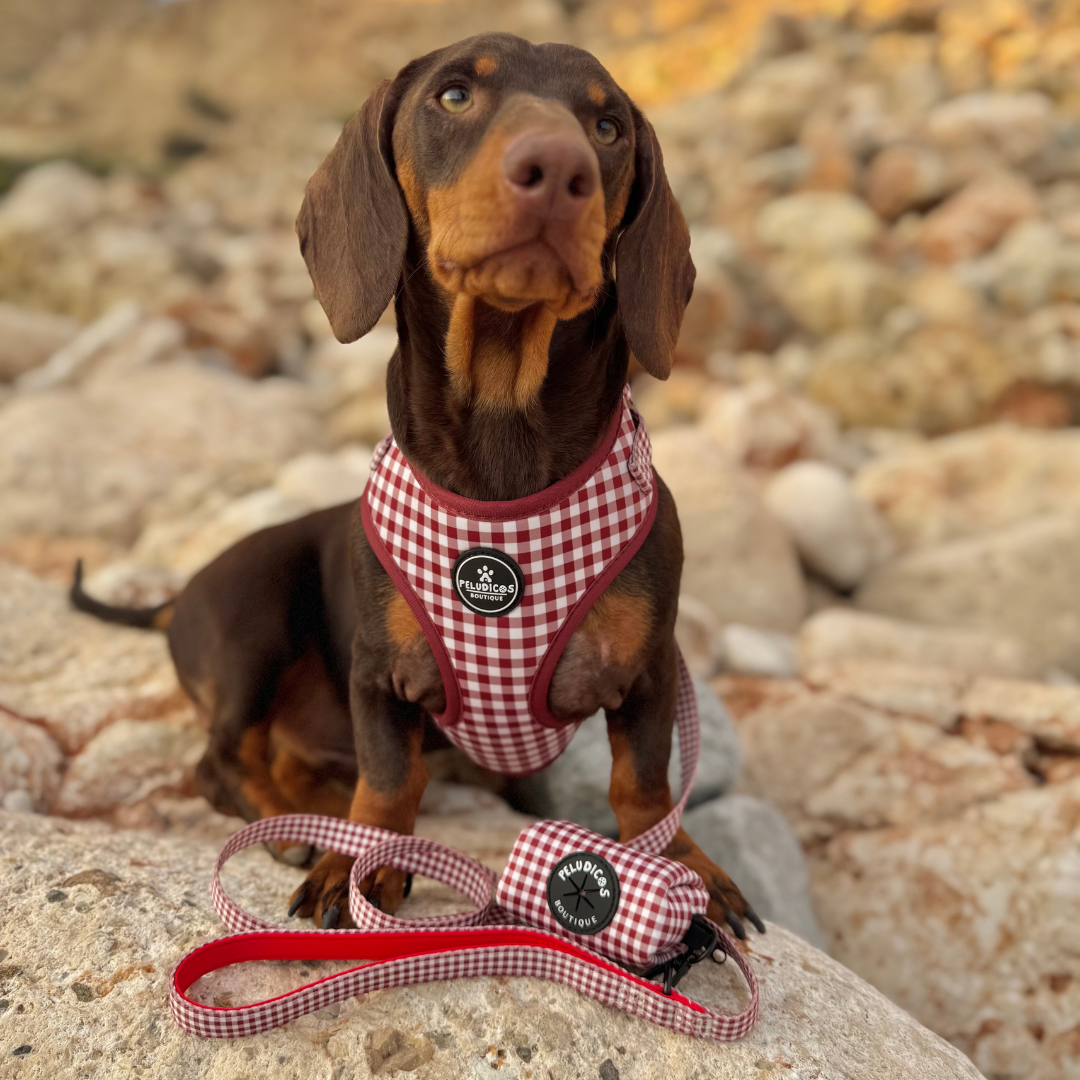 PACK COMPLETO VICHY GRANATE