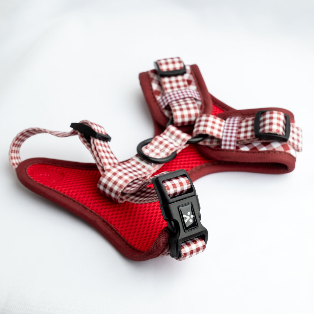 ARNÉS VICHY GRANATE