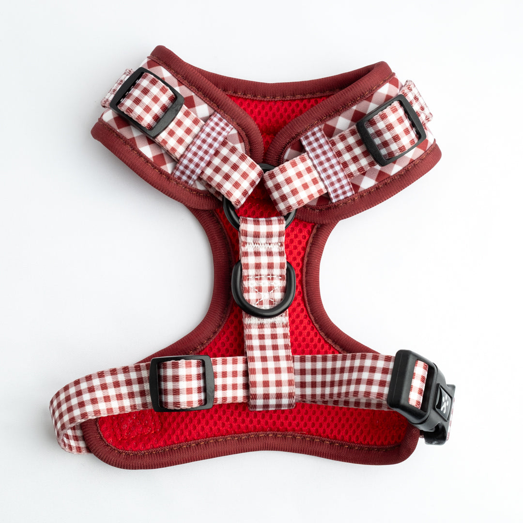 ARNÉS VICHY GRANATE